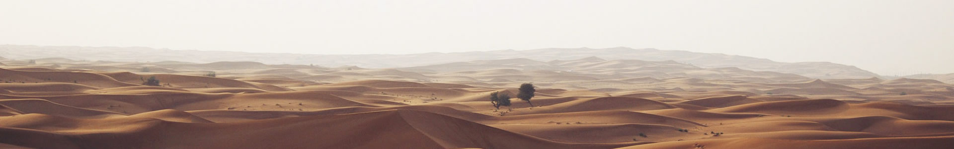 ػ޹˾